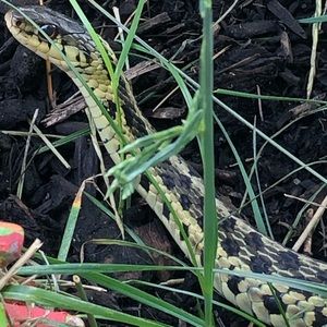 Meet your Posher, Brenna